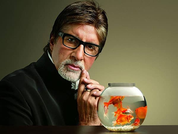 TrendMantra 22-amitabh-bachchan-b-220813 Are these Bollywood celebrities paying the income tax correctly or hiding their income from the Government? 